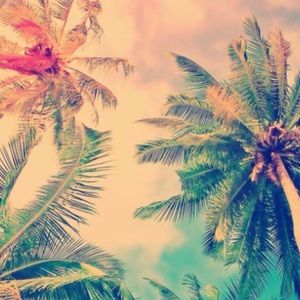 Meet your Posher, Sofia